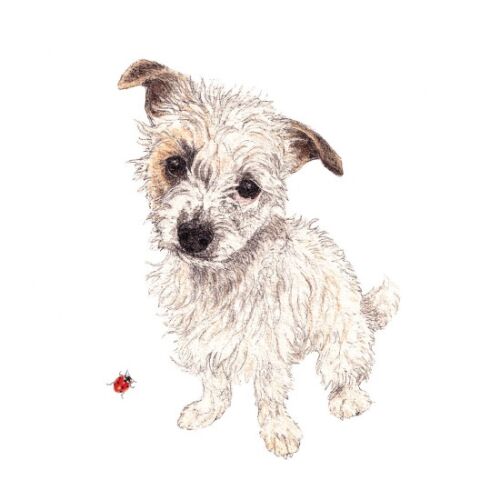 Kutya illusztráció Omelette papírszalvétán