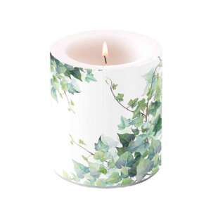 Hedera White illatú gyertya borostyán mintával, 10x10cm - Ambiente