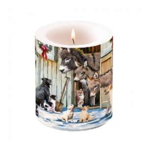 Animal Fiends illatos gyertya szamár és kiskutyák mintával - Gyertya