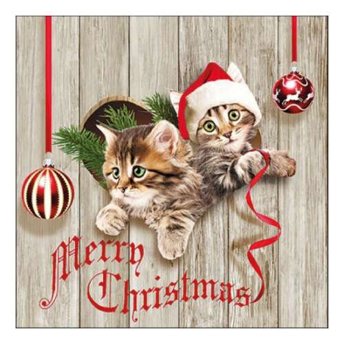 Curious Kittens karácsonyi szalvéta, 20 darabos, 33x33cm
