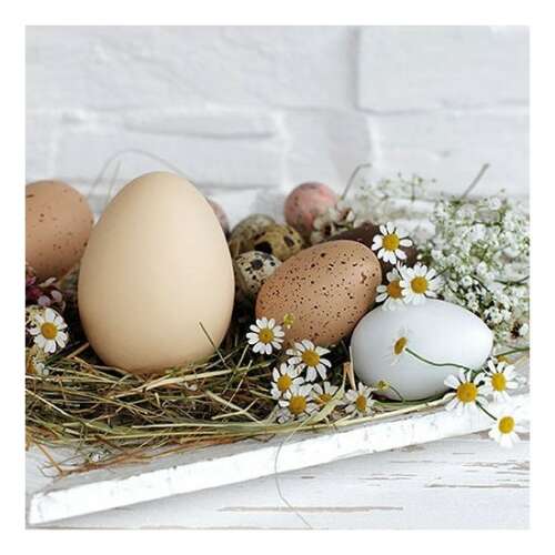 AMB.23314290 Pastel Eggs papírszalvéta 33x33cm,20db-os 80616796