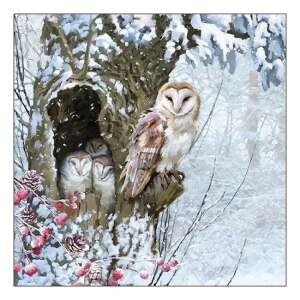 Barn Owl papírszalvéta hóesős téli jelenettel, három bagoly látható egy fán - Szalvéta