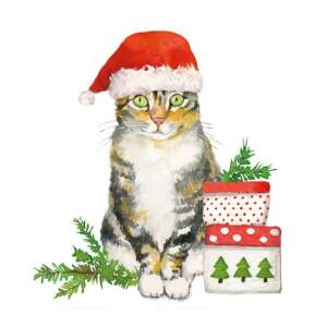 Karácsonyi macska papírszalvéta, 20 darabos, 33x33cm, egy aranyos macskával, aki Mikulás sapkát visel - Háztartási papírtermék