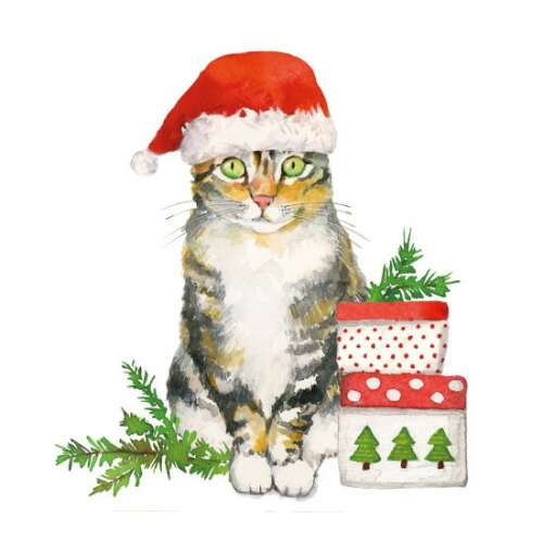 Karácsonyi macska papírszalvéta, 20 darabos, 33x33cm, egy aranyos macskával, aki Mikulás sapkát visel