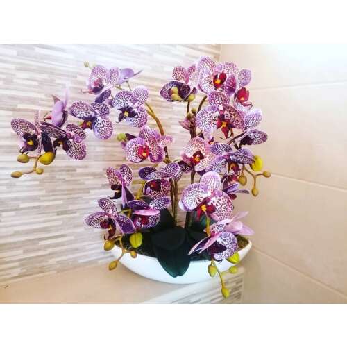 Különleges lila csnaktálas orchidea  dekor 32743362