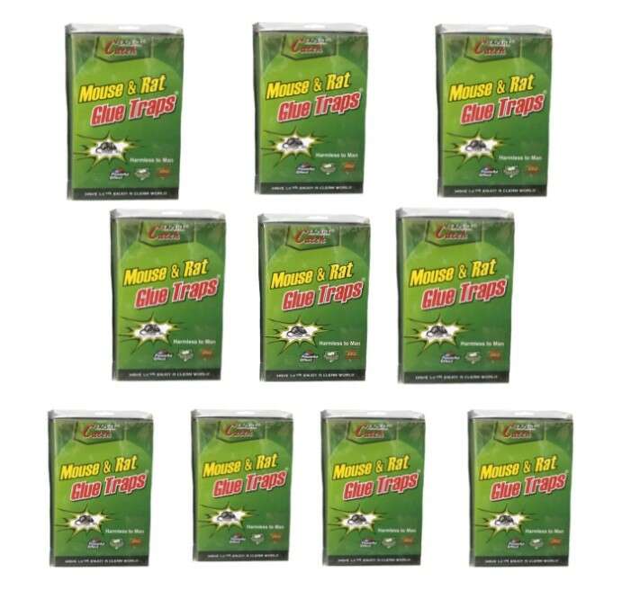 Ragasztócsapda Egereknek és Patkányoknak - 10 db