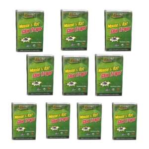 Ragasztócsapda Egereknek és Patkányoknak - 10 db