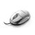 White Esperanza XM102W USB optical mouse