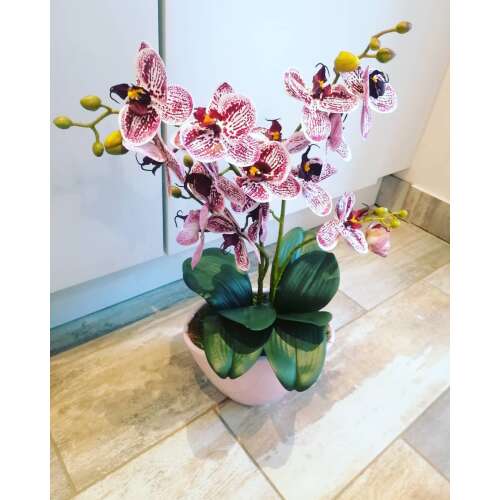 Lila csíkos orchidea kerámia kaspóban