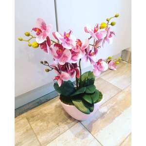 Rózsaszín orchidea kerámia kaspóban