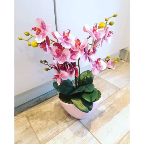Rózsaszín orchidea kerámia kaspóban 32784520