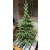 Pepita VRP Quality 3D Lifelike Caucasian Artificial Spruce 1m