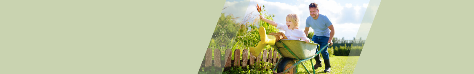 Produse la preturi reduse.Reduceri mari | Pepita.com