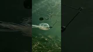 Youtube Videó a termékről