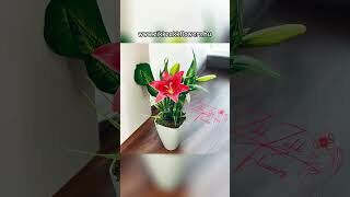 Youtube Videó a termékről